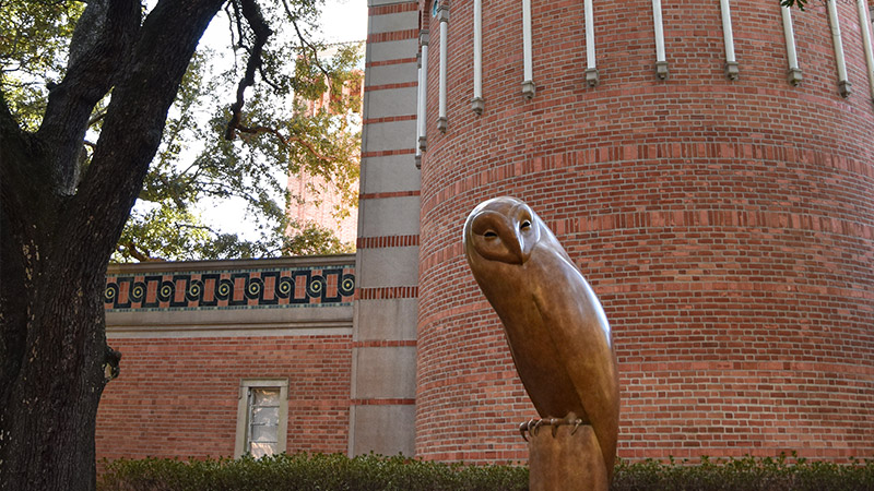 Rive University Owl Statue